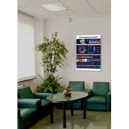 The Science of Sleep Poster Displayed in a Room Setting