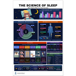 "The Science of Sleep Poster — Full View"