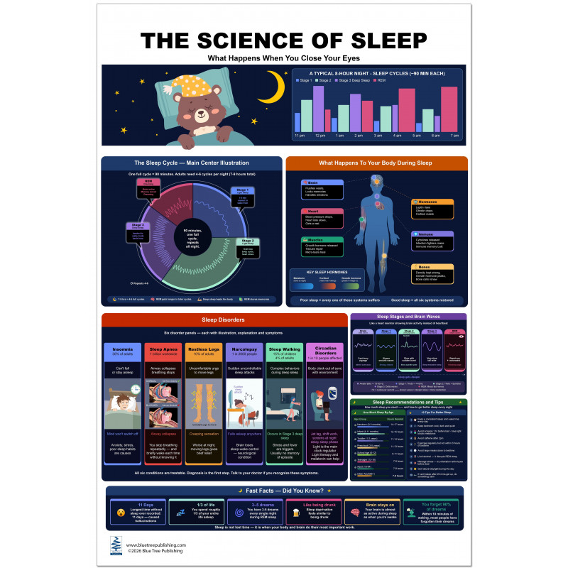 "The Science of Sleep Poster — Full View"