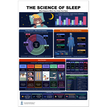 "The Science of Sleep Poster — Full View"