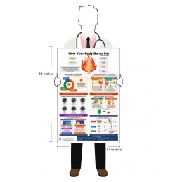 "Metabolism, Hormones & Fat Science — Detailed View"