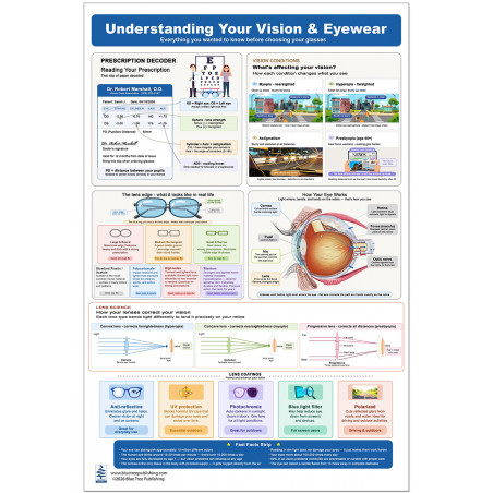 Understanding Your Vision & Eyewear Poster — Full View