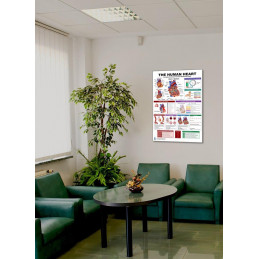 The Human Heart Poster Displayed in a Room Setting