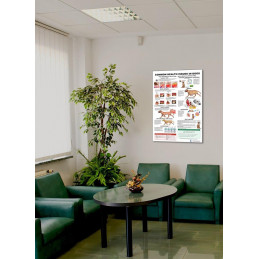 Common Health Issues in Dogs Poster Displayed in a Room Setting