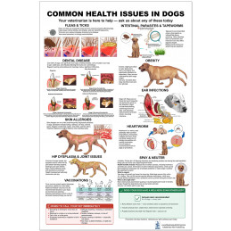 Common Health Issues in Dogs Poster — Full View