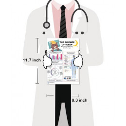 Science of Sleep Chart — Sleep Cycles and Body Systems