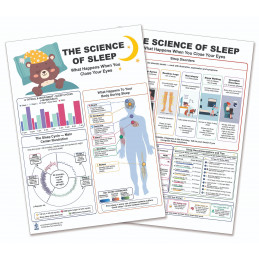 Science of Sleep Chart — Sleep Cycles and Body Systems
