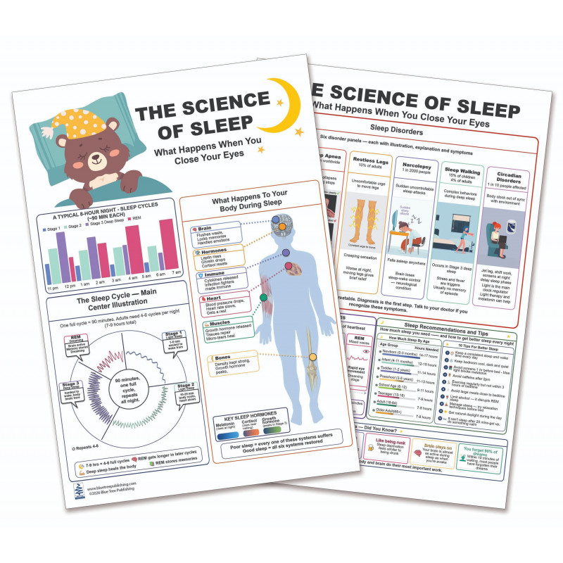 Science of Sleep Chart — Sleep Cycles and Body Systems
