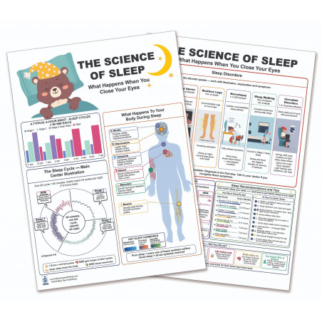 Science of Sleep Chart — Sleep Cycles and Body Systems