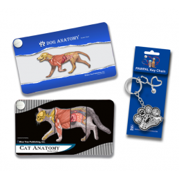 Veterinary Anatomy Pocket Charts — Dog & Cat Set with PAWPAL Keychain Gift