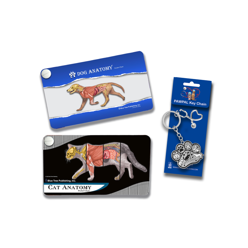 Veterinary Anatomy Pocket Charts — Dog & Cat Set with PAWPAL Keychain Gift