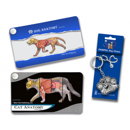 Veterinary Anatomy Pocket Charts — Dog & Cat Set with PAWPAL Keychain Gift