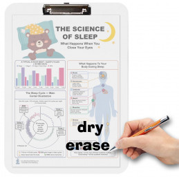 The Science of Sleep — A4 Clipboard