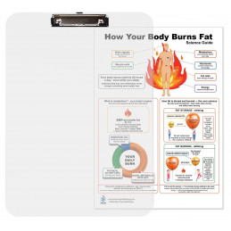 How Your Body Burns Fat Clipboard — A4 Double Sided Science Guide on Clipboard