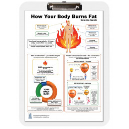 How Your Body Burns Fat — A4 Clipboard with Removable Double-Sided Educational Chart