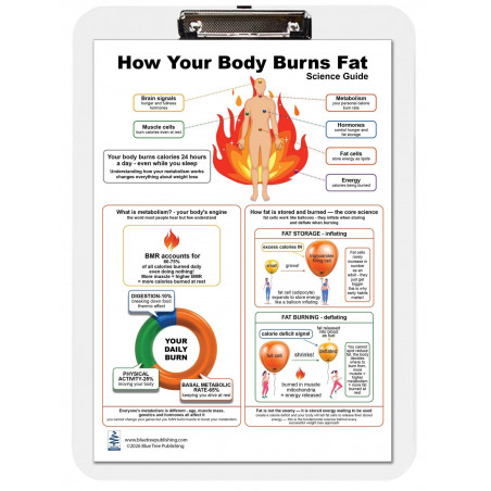 How Your Body Burns Fat — A4 Clipboard with Removable Double-Sided Educational Chart