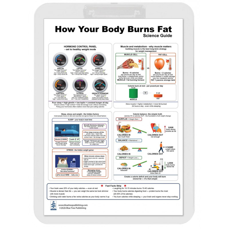 l carnitine elite burn SIRENLABS L-Carnitine Liquid Strawberry Blast - 32 Servings SIRENLABS L-Carnitine Elite Burn Liquid