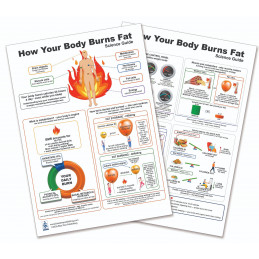 How Your Body Burns Fat — Laminated A4 Double-Sided Educational Chart