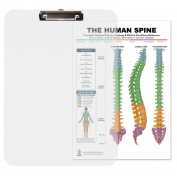 Spine Health Clipboard — Durable A4 Clipboard with Removable Double-Sided Chart