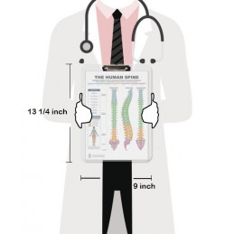 Spine Health Clipboard — Durable A4 Clipboard with Removable Double-Sided Chart