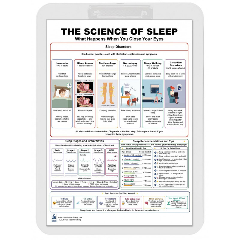 Science of Sleep Clipboard — A4 Double Sided Educational Chart on