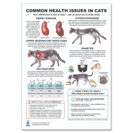 Common Health Issues in Cats — Laminated Double-Sided A4 Reference Card | Blue Tree Publishing