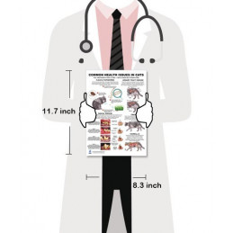 Common Health Issues in Cats — Laminated Double-Sided A4 Reference Card