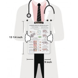 Common Health Issues in Cats Clipboard — A4 Clipboard with Removable Double-Sided Chart | Blue Tree Publishing