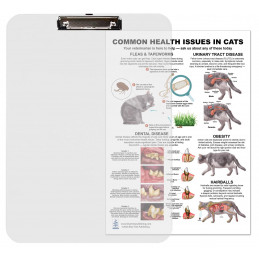Common Health Issues in Cats Clipboard — A4 Clipboard with Removable Double-Sided Chart | Blue Tree Publishing