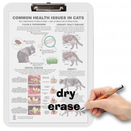 Common Health Issues in Cats Clipboard — A4 Clipboard with Removable Double-Sided Chart | Blue Tree Publishing