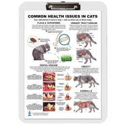 Common Health Issues in Cats Clipboard — A4 Clipboard with Removable Double-Sided Chart | Blue Tree Publishing