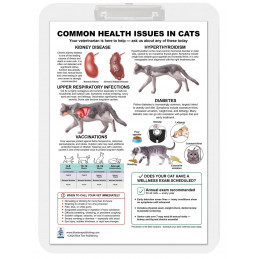 Common Health Issues in Cats Clipboard — A4 Clipboard with Removable Double-Sided Chart | Blue Tree Publishing