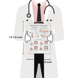 Common Health Issues in Dogs Clipboard — A4 Clipboard with Removable Double-Sided Chart | Blue Tree Publishing