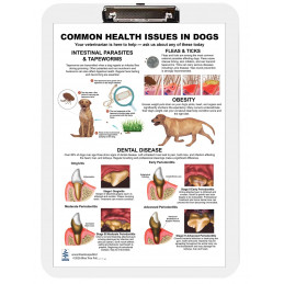 Common Health Issues in Dogs Clipboard — A4 Clipboard with Removable Double-Sided Chart | Blue Tree Publishing