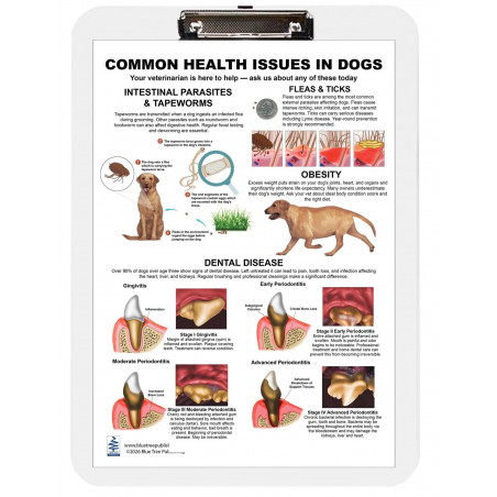 Common Health Issues in Dogs Clipboard — A4 Clipboard with Removable Double-Sided Chart | Blue Tree Publishing