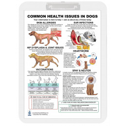 Common Health Issues in Dogs Clipboard — A4 Clipboard with Removable Double-Sided Chart | Blue Tree Publishing