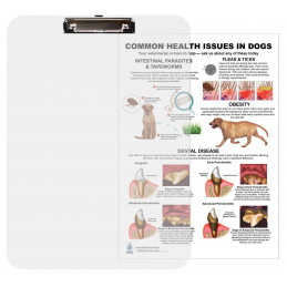 Common Health Issues in Dogs Clipboard — A4 Clipboard with Removable Double-Sided Chart | Blue Tree Publishing