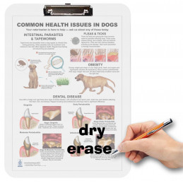 Common Health Issues in Dogs Clipboard — A4 Clipboard with Removable Double-Sided Chart | Blue Tree Publishing