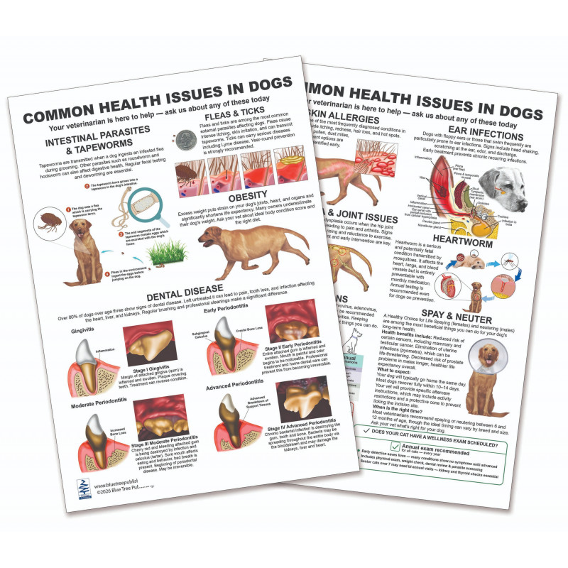 Common Health Issues in Dogs — Laminated Double-Sided A4 Reference Card
