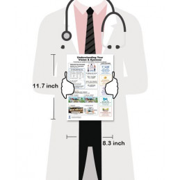 Understanding Your Vision & Eyewear — Laminated Double-Sided A4 Reference Card