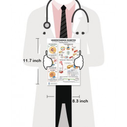 Understanding Diabetes — Laminated Double-Sided A4 Reference Card | Blue Tree Publishing