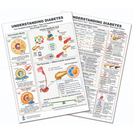 Understanding Diabetes — Laminated Double-Sided A4 Reference Card | Blue Tree Publishing