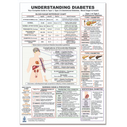 Understanding Diabetes — Laminated Double-Sided A4 Reference Card | Blue Tree Publishing