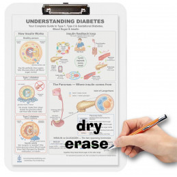 Understanding Diabetes Clipboard — Durable A4 Clipboard with Removable Double-Sided Chart