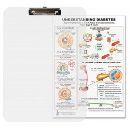 Understanding Diabetes Clipboard — Durable A4 Clipboard with Removable Double-Sided Chart