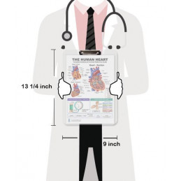 The Human Heart Clipboard — Durable A4 Clipboard with Removable Double-Sided Chart