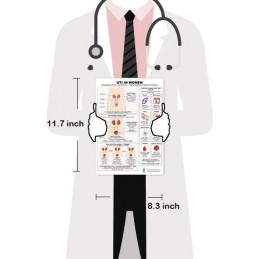 UTI in Women — Laminated Double-Sided A4 Reference Card