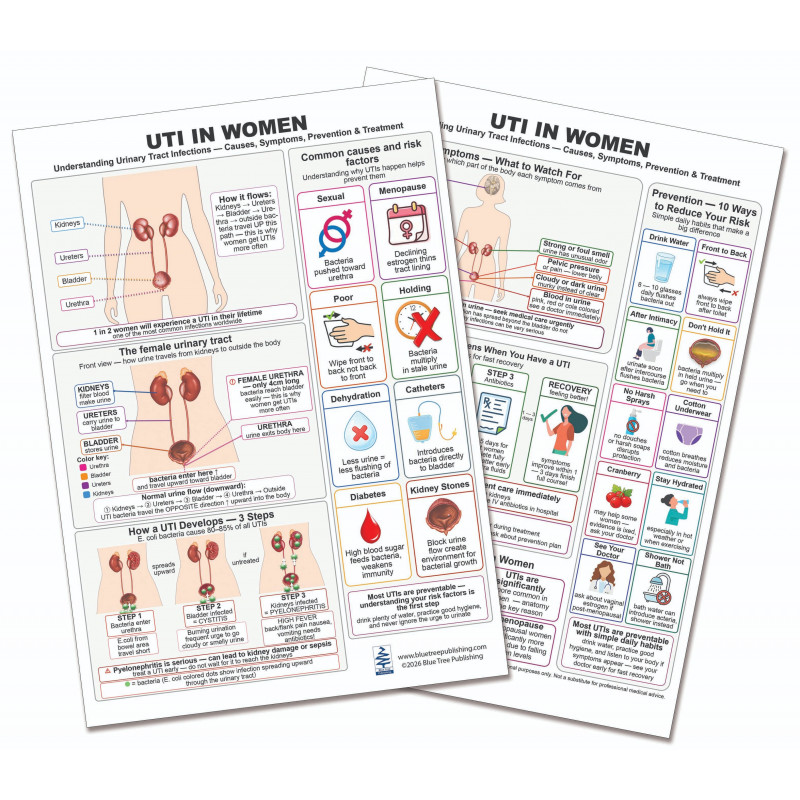 UTI in Women — Laminated Double-Sided A4 Reference Card