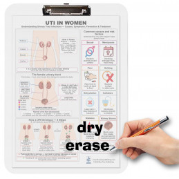 UTI in Women Clipboard — Durable A4 Clipboard with Removable Double-Sided Chart