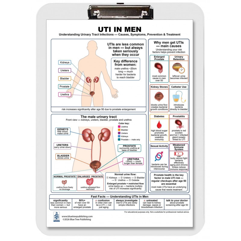UTI in Men Clipboard — Durable A4 Clipboard with Removable Double-Sided Chart